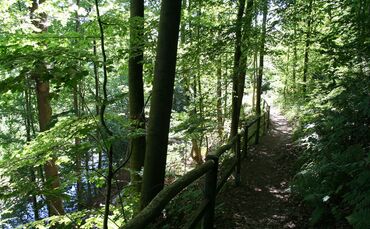 Seifersdorfer Tal
