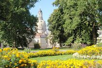 Webdesign Dresden Contao Suchmaschinenoptimierung